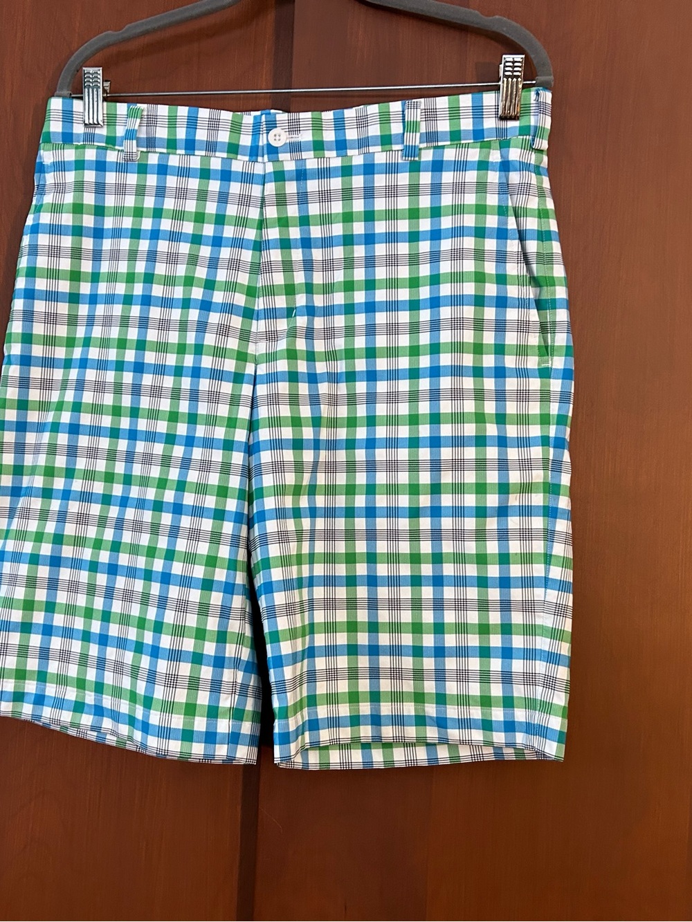 Nike Golf Plaid Shorts - Blue & Green